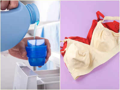 Bra Washing Tips: নতুন রাখার জন্য আসলে ঠিক কতদিন পর পর কাচা উচিত ব্রা? শুনলে চমকে যাবেনই