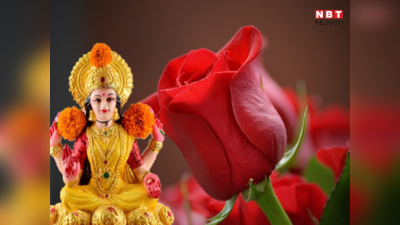 Rose Vastu Tips: लक्ष्मी की बरसेगी कृपा गुलाब के इन उपायों को देखें आजमाकर