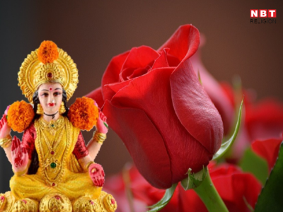 Rose Vastu Tips: लक्ष्मी की बरसेगी कृपा गुलाब के इन उपायों को देखें आजमाकर