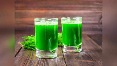 Wheat grass juice health benefits: రోజూ గోధుమ గడ్డి రసం తాగితే.. ఎన్ని ప్రయోజనాలో తెలుసా..?