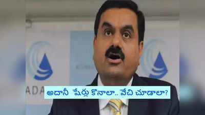 Adani Share: అదానీ షేర్లు కొనేందుకు ఇదే సరైన సమయమా? మార్కెట్ ఎక్స్‌పర్ట్స్ ఏమంటున్నారు?