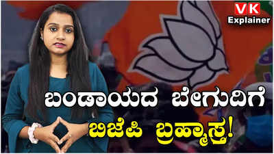 BJP Plan For Election: ಬಂಡಾಯಕ್ಕೆ ಬ್ರೇಕ್ ಹಾಕಲು ಬಿಜೆಪಿ ಸರ್ಕಸ್! ಚುನಾವಣೆಯಲ್ಲಿ ಸಿಗುತ್ತಾ ಸಕ್ಸಸ್?