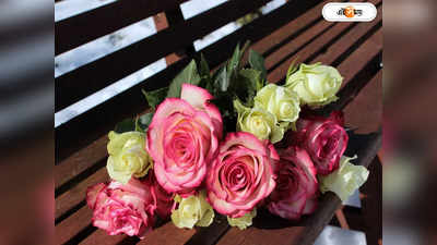 Rose Day : আমার সকল ব্যথা রঙিন হয়ে…, রবীন্দ্রনাথ-শেক্সপিয়ারের প্রেমের সাহিত্যে সুগন্ধ ছড়িয়েছে গোলাপ