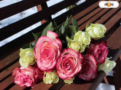 Rose Day : আমার সকল ব্যথা রঙিন হয়ে…, রবীন্দ্রনাথ-শেক্সপিয়ারের প্রেমের সাহিত্যে সুগন্ধ ছড়িয়েছে গোলাপ