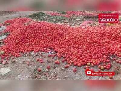 కిలో టమాట రూపాయి.. రోడ్డు పక్కన పారబోసిన రైతులు