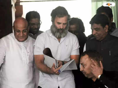 Rahul Gandhi : তৃণমূলের কৌশলেই কেন্দ্রকে তুলোধোনা রাহুলের