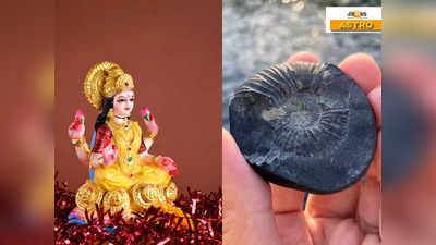 Shaligram Shila: বাড়িতে শালিগ্রাম থাকলে আসেন স্বয়ং লক্ষ্মী! তবে এই ভুলে হতে পারে বড় বিপদ