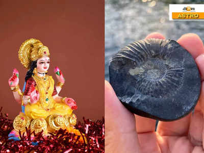 Shaligram Shila: বাড়িতে শালিগ্রাম থাকলে আসেন স্বয়ং লক্ষ্মী! তবে এই ভুলে হতে পারে বড় বিপদ