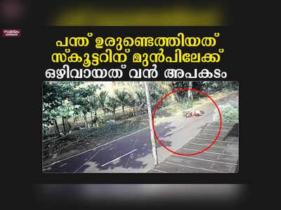 പന്ത് ഉരുണ്ടെത്തിയത്  സ്കൂട്ടറിന് മുൻപിലേക്ക്; ഒഴിവായത് വൻ അപകടം