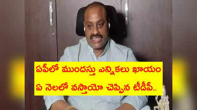 ఏపీలో ముందస్తు ఎన్నికలు పక్కా.. టీడీపీకి ఎన్ని సీట్లొస్తాయో చెప్పిన అచ్చెన్నాయుడు 