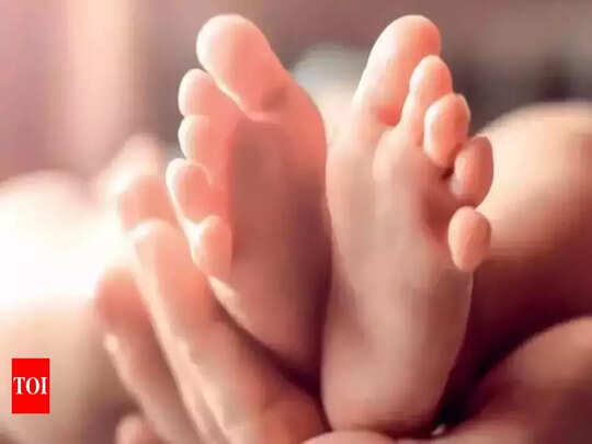 Short Story: ಕಿರುಕಥೆ: ಕಳೆದು ಹೋದ ಕ್ಷಣಗಳು, ಮರಳಿ ಬಾರದ ಆ ದಿನಗಳು Short Story: ಕಿರುಕಥೆ: ಕಳೆದು ಹೋದ ಕ್ಷಣಗಳು, ಮರಳಿ ಬಾರದ ಆ ದಿನಗಳು