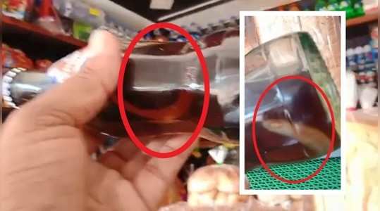 dead snake found in soft drink bottle in amalapuram