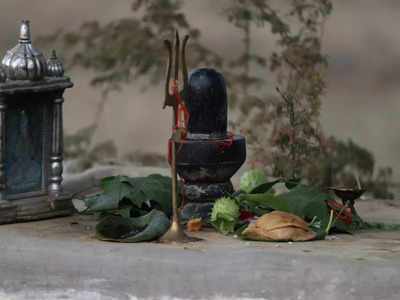 Mahashivratri 2023: শিবের প্রিয় ধুতরো দূর করবে অর্থাভাব, রোগ! শাস্ত্র জানাচ্ছে এর উপায়