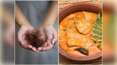 Foods For Hair Loss: মুঠো মুঠো চুল ওঠা বন্ধ হবে ম্যাজিকের মতো, মাছের সঙ্গে আর কী খেতে হবে জেনে নিন