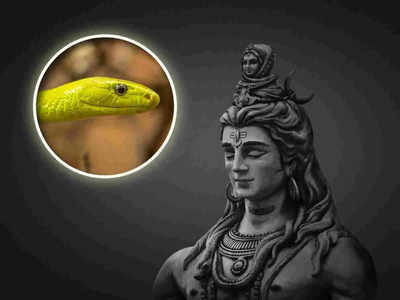 Mahashivratri 2023: এই ঘটনার অর্থ কালসর্প দোষে আক্রান্ত আপনি! মহাশিবরাত্রিতে এই উপায়ে মিলবে মুক্তি