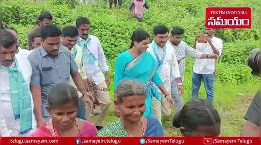 ys sharmila padayatra in vikarabad district