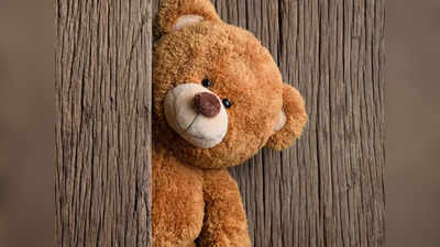 Happy Teddy Day Wishes 2023: ടെഡിയെ സമ്മാനമായി നൽകൂ ക്യൂട്ടായി ടെഡി ഡേ ആഘോഷിക്കാം