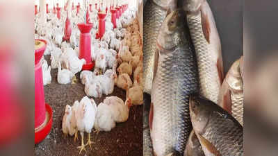 Kolkata Market Price: মাছ বাজারে সুখবর! সস্তায় কিনবেন কী কী? একনজরে বাজার দর