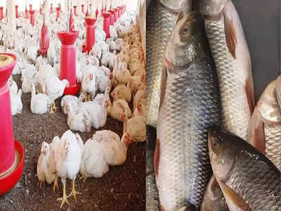 Kolkata Market Price: মাছ বাজারে সুখবর! সস্তায় কিনবেন কী কী? একনজরে বাজার দর
