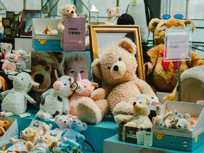 Teddy Day 2023: টেডি দিয়ে মনের কথা বলতে চান, তার আগে জেনে নিন কীভাবে এই পুতুল ভালুকের নাম টেডি হল