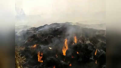 ट्रांसफॉर्मर से निकली चिंगारी, 300 एकड़ पराली में लगी आग... हरियाणा के किसान को लाखों का नुकसान