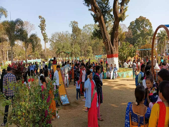 स्ट्रॉबेरी, संतरा, मौसमी, एप्पल, चीकू और काजू का पेड़