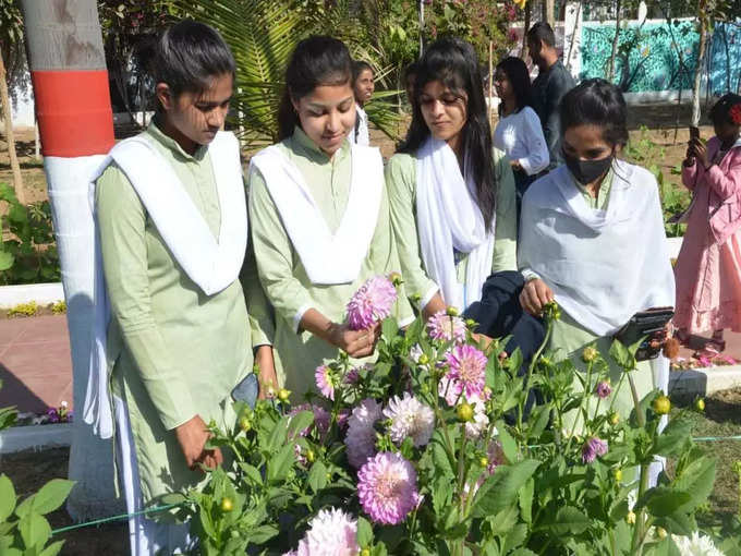 कृत्रिम ऑक्टोपस, पहाड़-झरने और पेटिंग आकर्षण का केंद्र