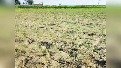 Bihar Weather Update: अब चढ़ने लगा पारा, पटना-गया समेत कई जिलों में गर्मी, क्या पूरी तरह से चली गई ठंड?