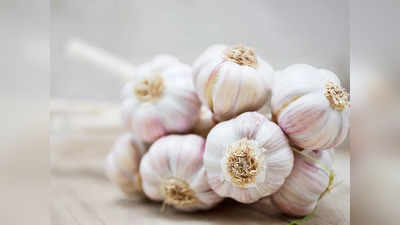 Garlic to reduce cholesterol: వెల్లుల్లితో.. కొలెస్ట్రాల్‌ ఈజీగా కరిగించేయండి..!