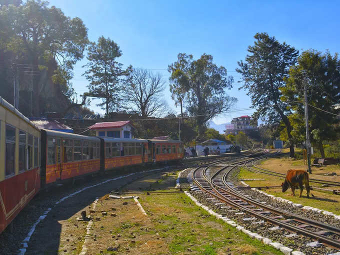 প্যাকেজের পরিষেবা