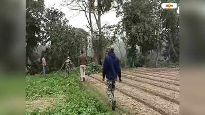 Hooghly News : জঙ্গল ছেড়ে আরামবাগের লোকালয়ে দাঁতালের হানা, আতঙ্কে এলাকাবাসী