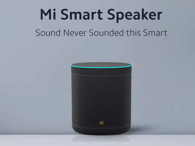 Mi Smart Speaker