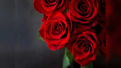 Valentines Day: ಲಂಡನ್‌ ಲವರ್ಸ್‌ಗಾಗಿ ರಾಜ್ಯದ ಕೆಂಗುಲಾಬಿ !