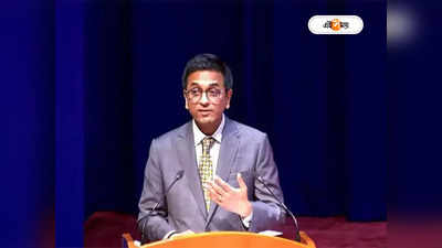 CJI DY Chandrachud: ‘অপরাধের বাইরে থাকায় অবিচার হয়েছে’, সমপ্রেম নিয়ে তাৎপর্যপূর্ণ মন্তব্য দেশের প্রধান বিচারপতি