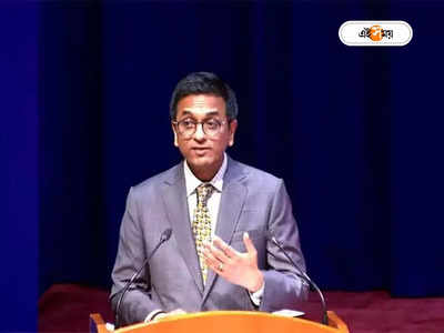 CJI DY Chandrachud: ‘অপরাধের বাইরে থাকায় অবিচার হয়েছে’, সমপ্রেম নিয়ে তাৎপর্যপূর্ণ মন্তব্য দেশের প্রধান বিচারপতি