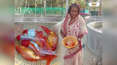 Purba Medinipur : রঙিন মাছ নিয়েই দিন কাটে, বাড়িতে ব্যবসা জমিয়ে নজির নন্দীগ্রামের মনোরমার! আয় জানেন?