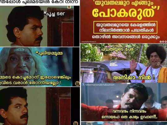 അങ്ങനെ അങ്ങോട്ട് പോയാലോ? ജോലി ഇവിടെ തന്നെയുണ്ട്; പുതിയ പദ്ധതി അനിയാ നിൽ; ട്രോളുകൾ