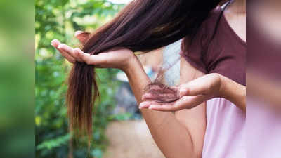 Hair Fall: মুঠো মুঠো চুল ওঠায় নাজেহাল আপনি? ঘরোয়া টোটকাতেই বন্ধ হবে চুল পড়া, জানালেন পুষ্টিবিদ