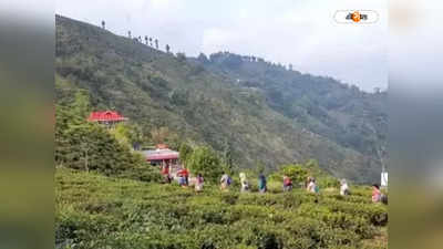 Darjeeling Tourism : ভাড়াটিয়া-পেয়িং গেস্টদের তথ্য দিতে হবে বাড়িওয়ালাকে! চালু পোর্টাল, কড়া ব্যবস্থা দার্জিলিং পুলিশের