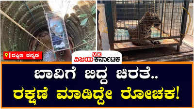 Leopard Rescue: ಬಾವಿಗೆ ಬಿದ್ದ ಚಿರತೆಯನ್ನು ರಕ್ಷಣೆ ಮಾಡಿದ ಪಶುವೈದ್ಯೆ ಮೇಘನಾ