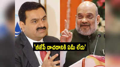 Shah On Adani Issue: భయపడేందుకు ఏమీ లేదు.. అదానీ వ్యవహారంపై అమిత్ షా కీలక వ్యాఖ్యలు