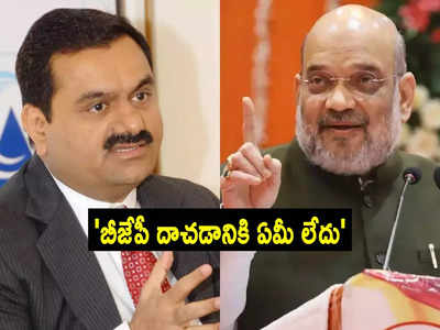 Shah On Adani Issue: భయపడేందుకు ఏమీ లేదు.. అదానీ వ్యవహారంపై అమిత్ షా కీలక వ్యాఖ్యలు