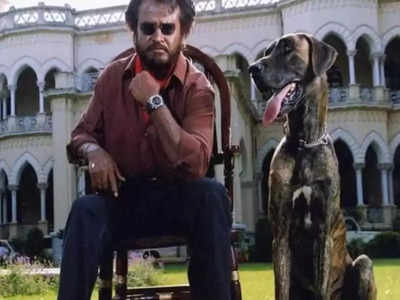 Rajinikanth: அவர் பாட்ஷாவா, வேண்டவே வேண்டாம், ஆளையே மாற்றிய ரஜினி: விஷயம் இருக்கு