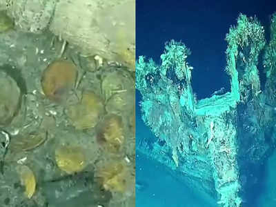 Gold Treasure shipwreck: 300 વર્ષ પહેલા દરિયામાં ડૂબી ગયેલા જહાજમાંથી મળ્યો 17 અબજ ડોલરનો ખજાનો 