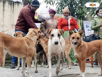 Valentines Day 2023 : ভ্যালেন্টাইন্স ডে-তে কুকুরের বিয়ে হিন্দুত্ববাদী সংগঠনের, নিন্দার ঝড় দেশজুড়ে