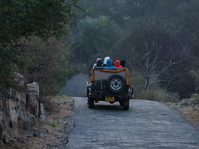 రణతంబోర్ టైగర్ రిజర్వ్, రాజస్థాన్..