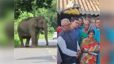 Elephant Attack: দাঁতালের দাঁতে এফোঁড়-ওফোঁড় বুক, মৃতের পরিবারকে পাঁচ লাখ টাকা আর্থিক সহায়তা