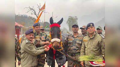 लॉजिस्टिक ड्रोन सेना में करेगा क्रांतिकारी बदलाव, 2030 तक एनिमल ट्रांसपोर्ट रह जाएगा आधा