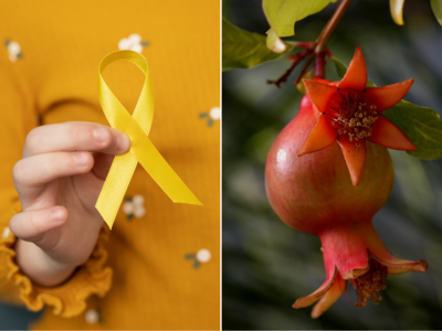 Pomegranate Benefits: કેન્સર-એનિમિયાનો કાયમી ઇલાજ છે દાડમ, આયુર્વેદિક ડોક્ટર પાસેથી જાણો 8 જબરદસ્ત ફાયદા