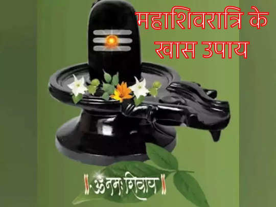 Mahashivratri Ke Totke: महाशिवरात्रि पर बने हैं दुर्लभ योग, करें ये उपाय, हर संकट से मिलेगी मुक्ति, घर में बढ़ेगी धन लक्ष्‍मी 